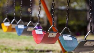 <p>The cost came to light at a meeting of the most populous municipal district in the county – Carrigaline – where increasing vandalism in its town park is becoming a major problem.</p>