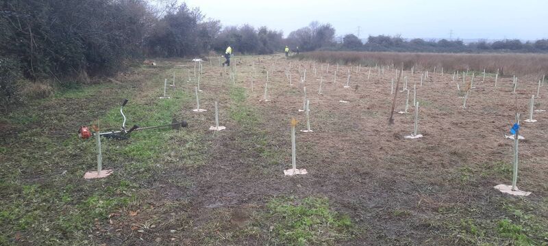 Tree planting near Gas Networks Ireland’s AGI in Baldrumman, Co. Dublin. Tree planting near Gas Networks Ireland’s AGI in Baldrumman, Co. Dublin.