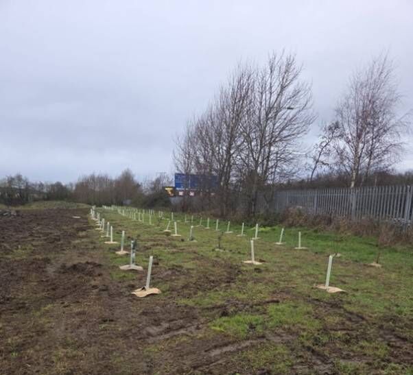 Tree planting near Gas Networks Ireland’s AGI in Abbotstown, Co Dublin. Tree planting near Gas Networks Ireland’s AGI in Abbotstown, Co Dublin.