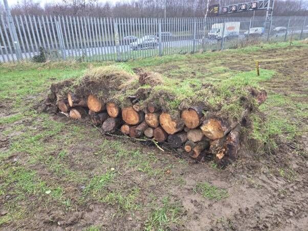 Log piles created near Gas Networks Ireland’s AGI in Abbotstown, Co Dublin. Log piles created near Gas Networks Ireland’s AGI in Abbotstown, Co Dublin.