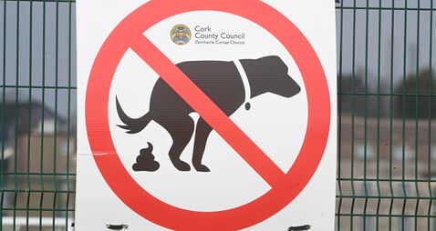 Increases to litter and dog foul fines ‘welcome news’, says Cork councillor 