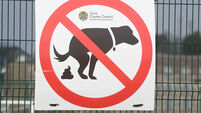 Increases to litter and dog foul fines ‘welcome news’, says Cork councillor 