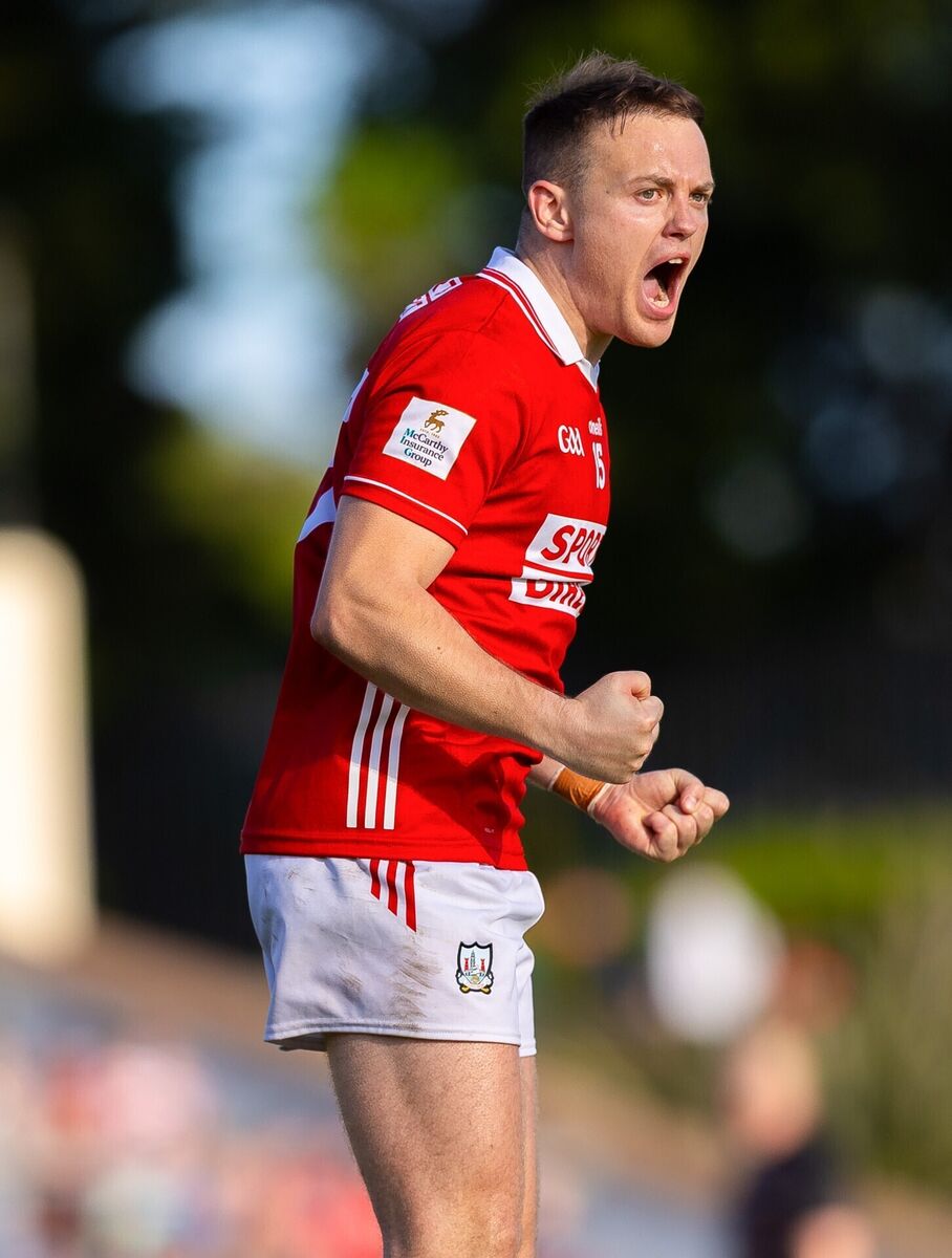 Cork's Steven Sherlock celebrates. Picture: INPHO/Tom O'Hanlon