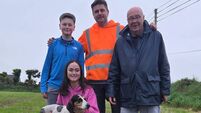 Not Now Al great determination to win Shanakiel Harriers Senior Draghunt