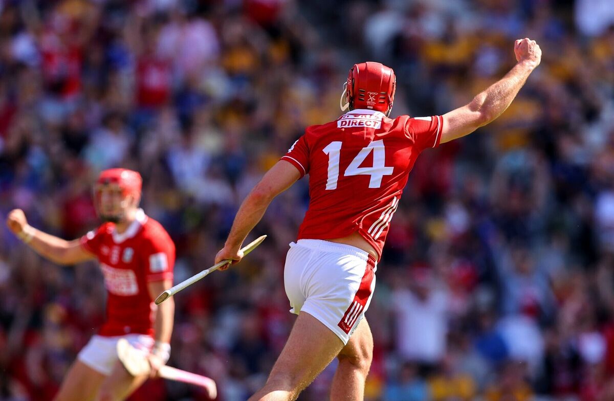 Cork's Brian Hayes celebrates scoring his goal against Clare. Picture: INPHO/Tom O'Hanlon