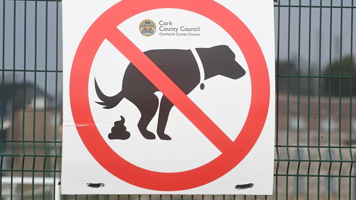 Kathriona Devereux: Would posting dog poop to owners solve our problem?