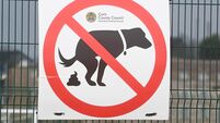 Kathriona Devereux: Would posting dog poop to owners solve our problem? Kathriona Devereux: Would posting dog poop to owners solve our problem?