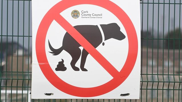 <p>Cork’s city and county councils have tried many ways to tackle the issue of dog fouling - here are a few more ideas from Kathriona. Picture: Larry Cummins</p>