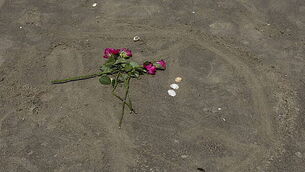 Teenage girl who died while swimming in Dublin is named