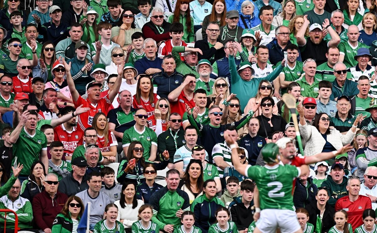 Spectators react during the game in April. Picture: Seb Daly/Sportsfile Spectators react during the game in April. Picture: Seb Daly/Sportsfile