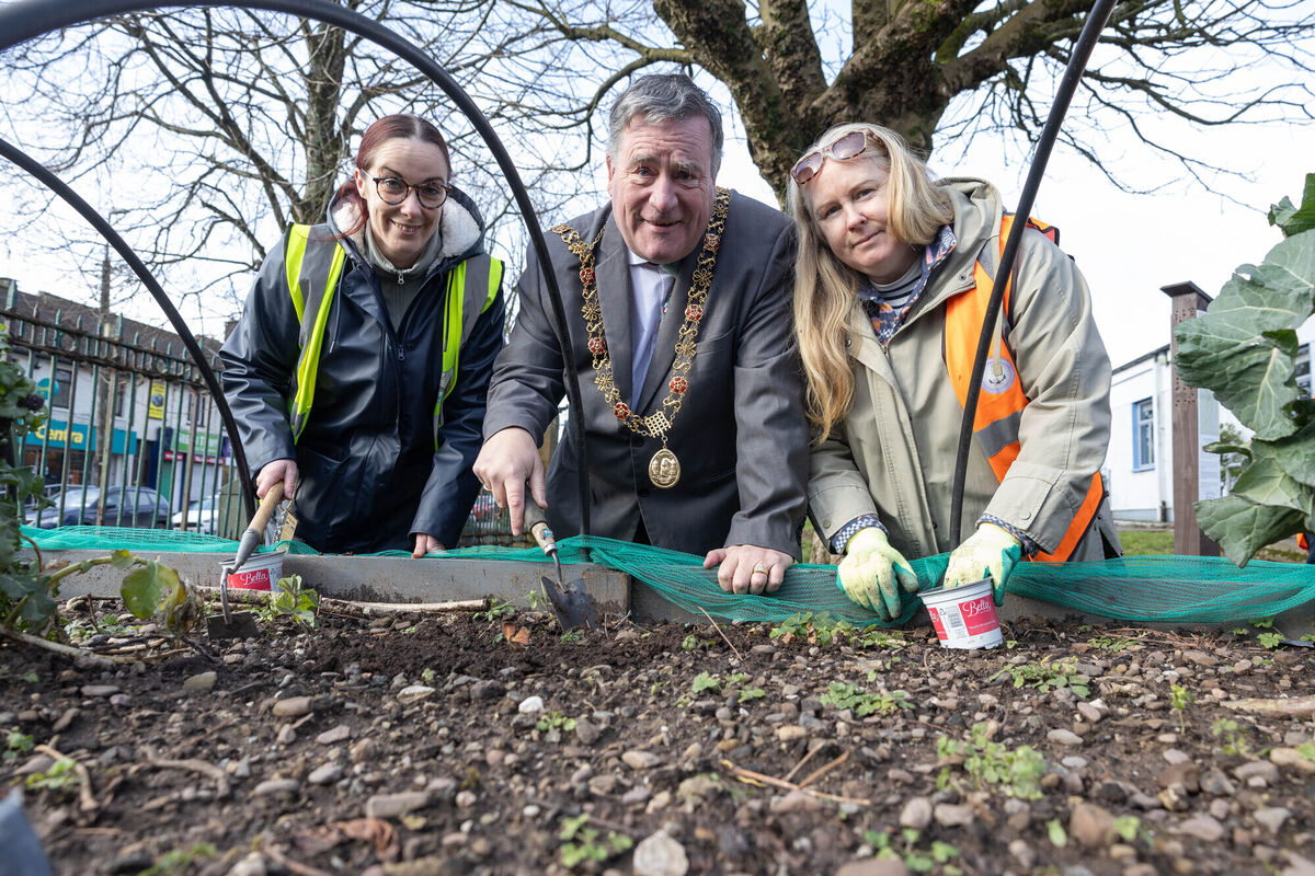 Former Lord Mayor of Cork, councillor Dan Boyle, with Natalie O’Regan chair Ballyphehane Tidy Towns and Eilís O’Brien, Sustainability and Environmental Officer, Ballyphehane Community Association pictured in February last year.	Picture: Darragh Kane
                    