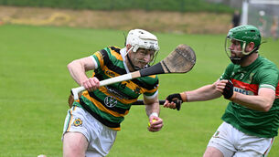 <p> Patrick Horgan in action for Glen Rovers against full-back Dan Harrington, Fr O'Neill's, in the Division 1 Hurling League. Picture: Larry Cummins</p> <p> Patrick Horgan in action for Glen Rovers against full-back Dan Harrington, Fr O'Neill's, in the Division 1 Hurling League. Picture: Larry Cummins</p>