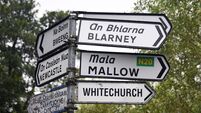 Planning application for Mallow relief road could be submitted this year
