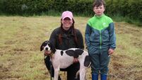 International draghunt meeting at Aghabullogue on Saturday will kick off the first major meet of the season 