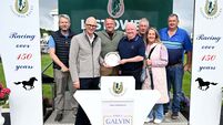 Horse of a lifetime Jesse Owens wins in Listowel for Tomas and Jack Singleton Horse of a lifetime Jesse Owens wins in Listowel for Tomas and Jack Singleton