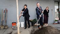 Tree honours Cork hero Murphy in the US