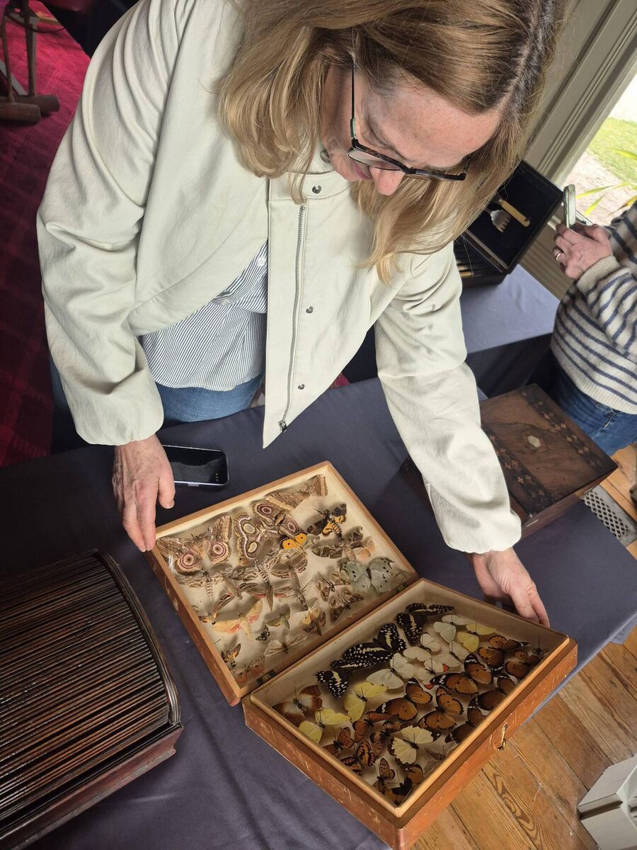 Mór member Sinéad Ní Chionaola peruses a box collection from the Fota House archive. RIGHT: Mór Artists Collective member Jaki Coffey in Fota House