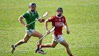 Limerick v Cork - Allianz Hurling League Division 1A Final