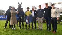 Daler wins at Leopardstown for Avondale legend David Spratt
