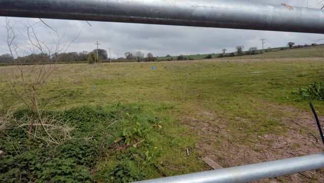 <p>The site for the failed FAI 'Centre of Excellence' at Brooklodge, Glanmire. File picture: Denis Minihane.</p> <p>The site for the failed FAI 'Centre of Excellence' at Brooklodge, Glanmire. File picture: Denis Minihane.</p>