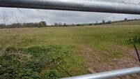 Cork council seeking 'expressions of interest' for land once earmarked for FAI 'Centre of Excellance'