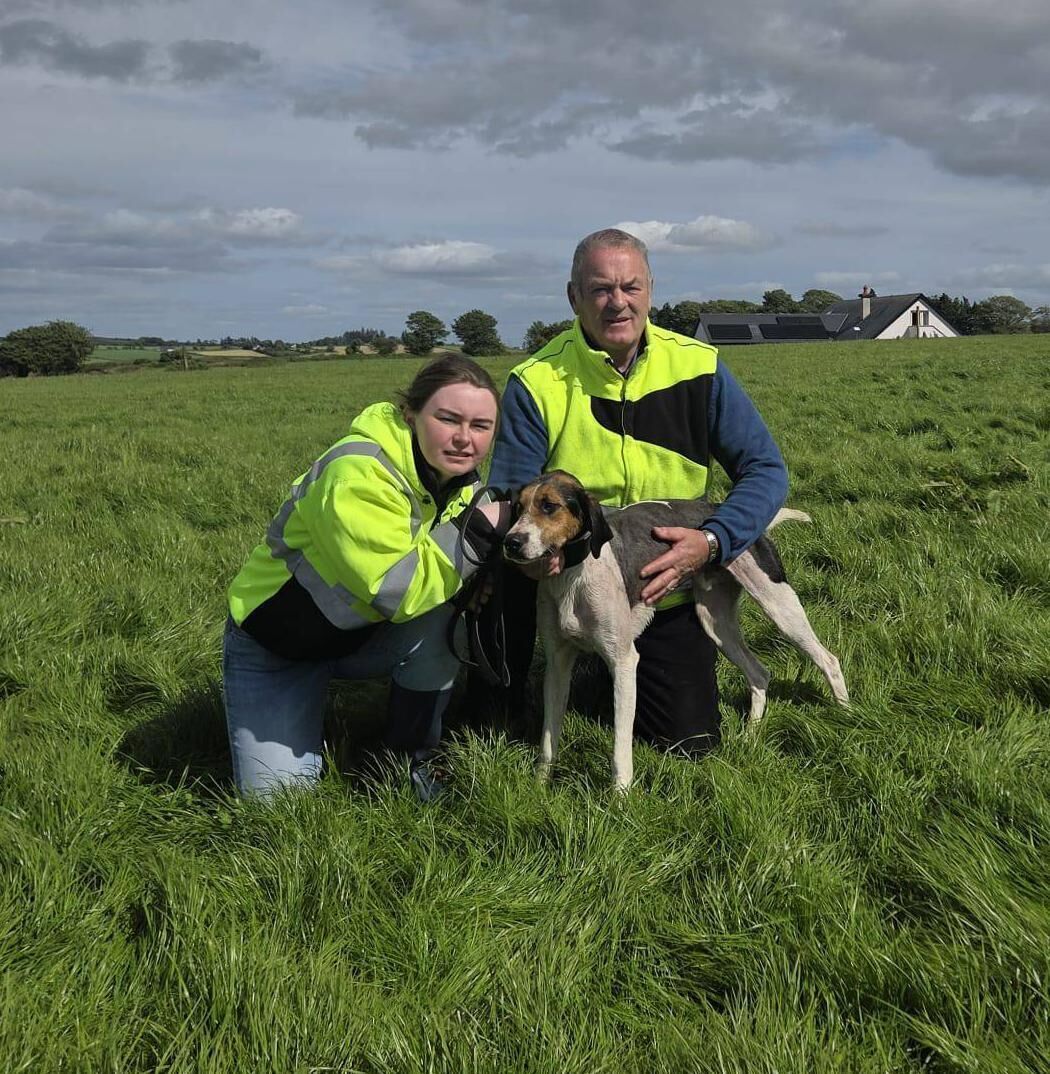 Cork Draghunting: Barry and Emily O'Keeffe with Border Mystery of Shanakiel Harriers, winner of the Senior Maiden International Draghunt at Aghabullogue. 