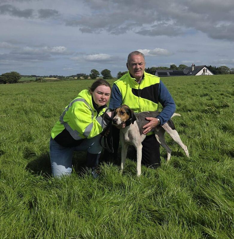 Cork Draghunting: Barry and Emily O'Keeffe with Border Mystery of Shanakiel Harriers, winner of the Senior Maiden International Draghunt at Aghabullogue. Cork Draghunting: Barry and Emily O'Keeffe with Border Mystery of Shanakiel Harriers, winner of the Senior Maiden International Draghunt at Aghabullogue.