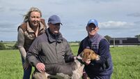 Cork Draghunting: Not Now Al out in front again at Aghabullogue