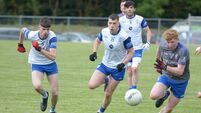 Knocknagree now zone in on Division 1 Football League final appearance