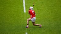 Cork v Limerick - Munster GAA Senior Hurling Championship Final