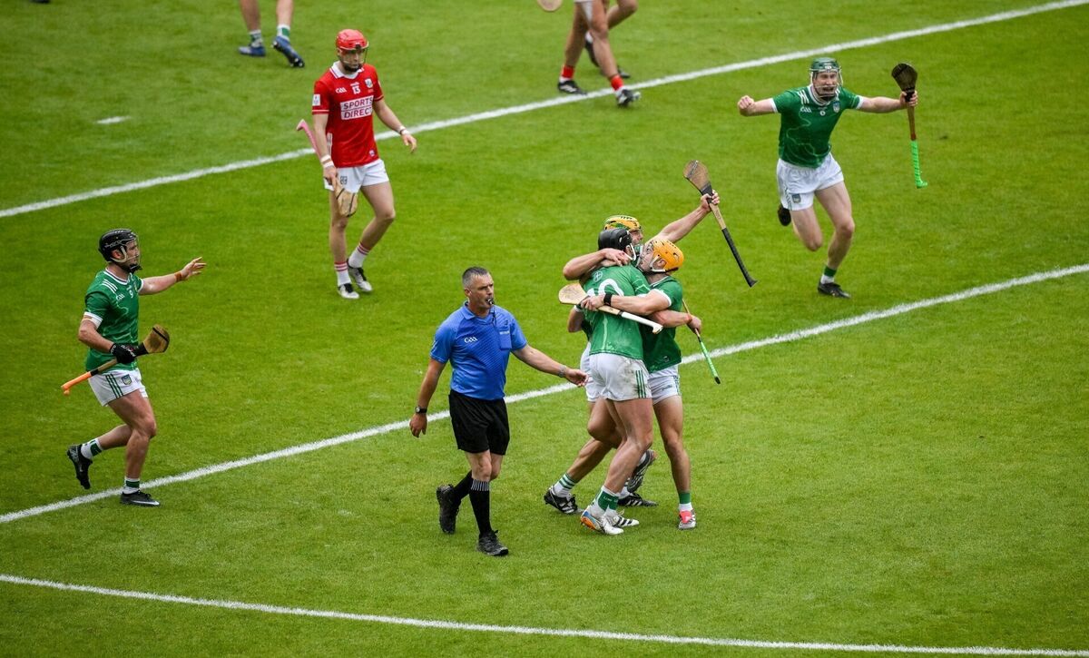 Limerick players celebrate next to referee James Owens on Sunday. Picture: Brendan Moran/Sportsfile