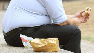 76145079 Obesity study