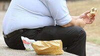 Obesity study