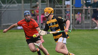 Avondhu join Duhallow in withdrawing from PSHC