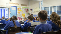 School stock