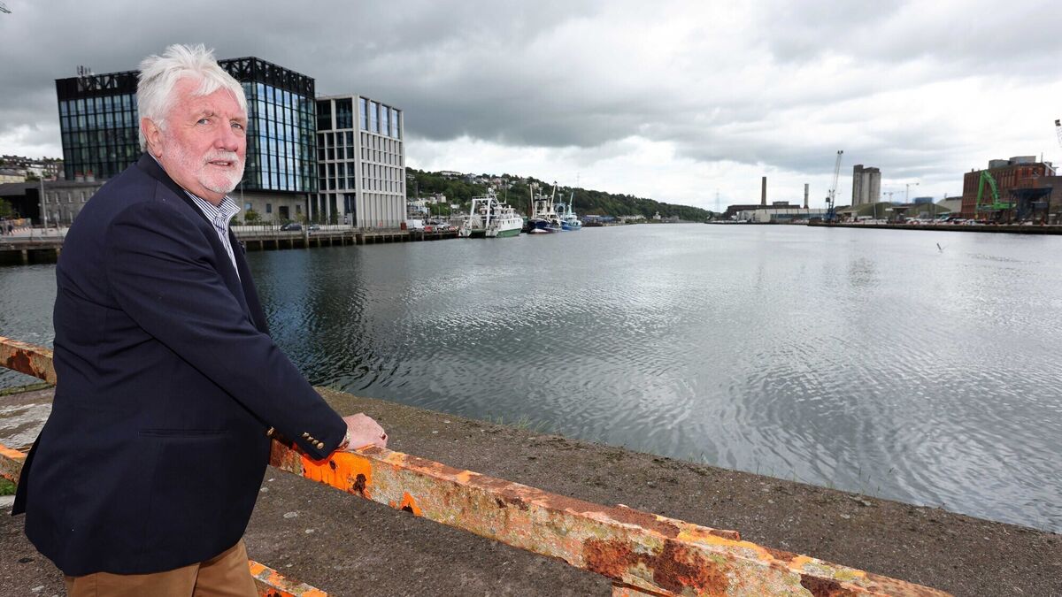 Luas bridge would end tall ships and maritime festivals in Cork city, says Cruise Europe boss