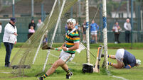 Patrick Horgan hits 13 points as Glen Rovers prove too good for St Finbarr's in SHL clash in Togher Patrick Horgan hits 13 points as Glen Rovers prove too good for St Finbarr's in SHL clash in Togher