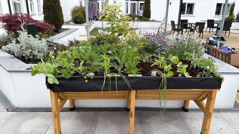 Wheelchair-friendly flower beds in Rosenalee Care Centre in Ballincollig Wheelchair-friendly flower beds in Rosenalee Care Centre in Ballincollig
