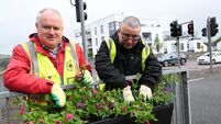 Cork Tidy Town's group preparing for visit from judges for international event 