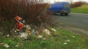 <p>Council engineers revealed that clean-up work along three key routes in North Cork resulted in the collection of almost 1,000 industrial-sized bags of litter and illegally dumped waste</p>
