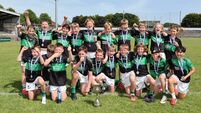 Nemo Rangers win dramatic John Kerins Cup final against Fermoy