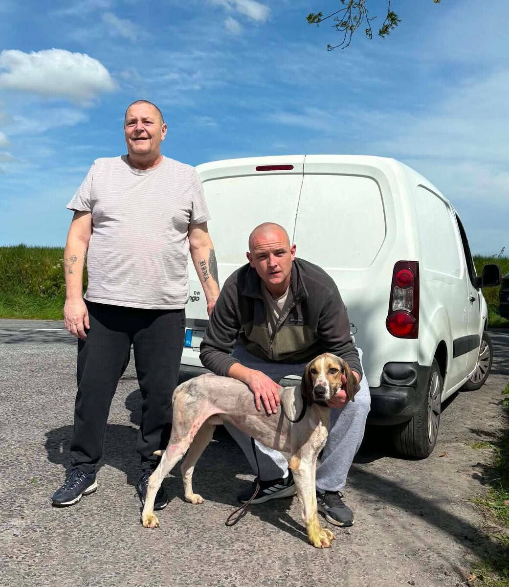The late Denis Wall of Mayfield harriers (left) with Denis Dowling and Anyone on the Phone winner of the Michael Heffernan memorial Puppy draghunt. The late Denis Wall of Mayfield harriers (left) with Denis Dowling and Anyone on the Phone winner of the Michael Heffernan memorial Puppy draghunt.