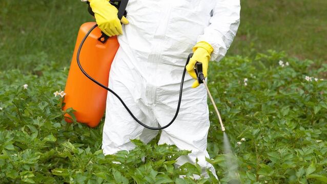 <p>The EU renewed approval for the use of glyphosate for a further ten years in 2023.</p> <p>The EU renewed approval for the use of glyphosate for a further ten years in 2023.</p>