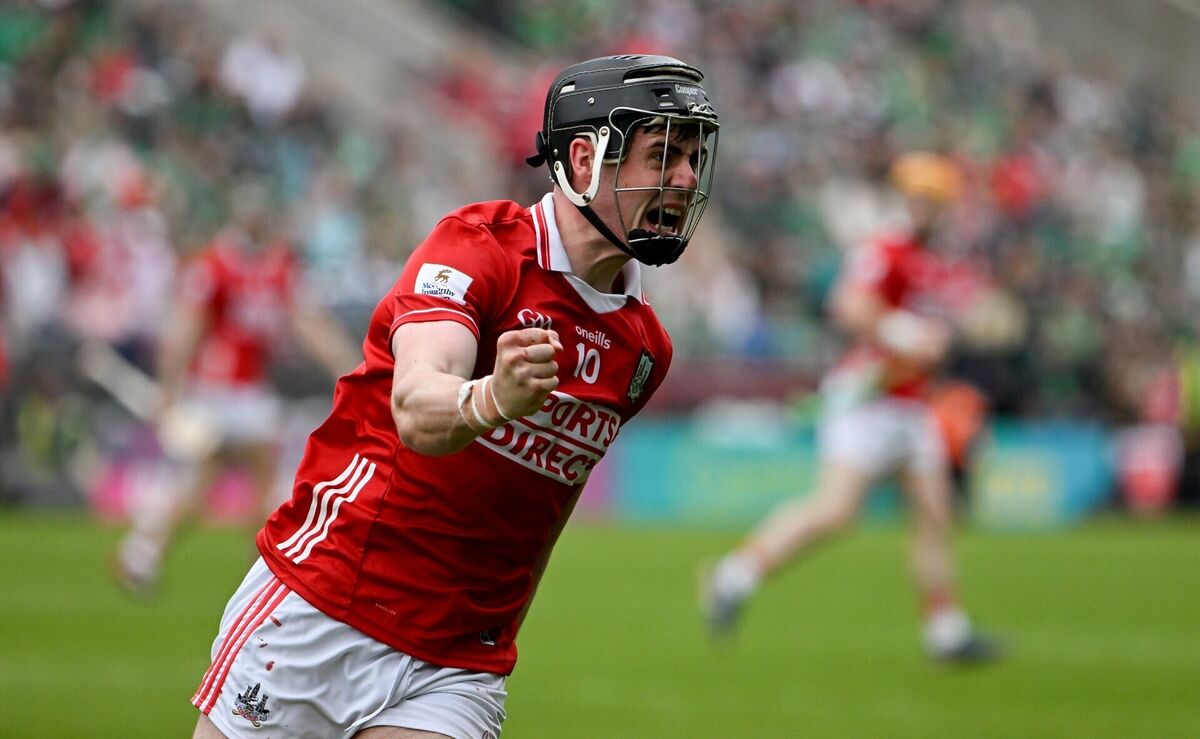 Darragh Fitzgibbon celebrates a late point during Cork's Munster SHC win over Limerick in April. Picture: Ray McManus/Sportsfile Darragh Fitzgibbon celebrates a late point during Cork's Munster SHC win over Limerick in April. Picture: Ray McManus/Sportsfile