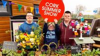 Cork Summer Show: What to expect at this year's event 