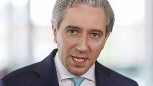 Short-term lets register ‘took longer than it should have’, Tánaiste says Short-term lets register ‘took longer than it should have’, Tánaiste says