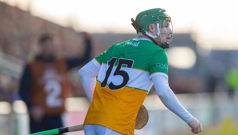 Offaly's Adam Screeney in action against Wexford in the Leinster SHC. Picture: ©INPHO/Tom O’Hanlon Offaly's Adam Screeney in action against Wexford in the Leinster SHC. Picture: ©INPHO/Tom O’Hanlon