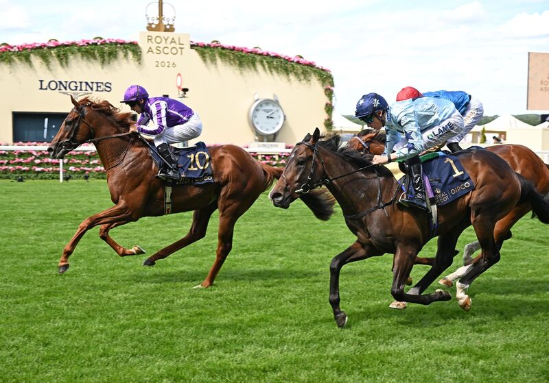 16-6-26 Royal Ascot. 16-6-26 Royal Ascot.