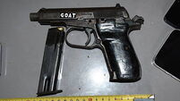 Two people arrested after seizure of firearm and ammo in Dublin