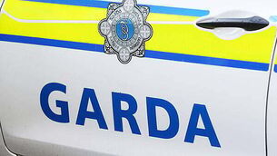 Senior officer to investigate how machine gun fell from Garda vehicle in April Senior officer to investigate how machine gun fell from Garda vehicle in April